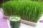 خواص فراوان سبزه گندم برای سلامتی