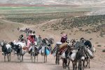کمبود علوفه چالش عشایر فارس