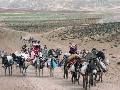 کمبود علوفه چالش عشایر فارس