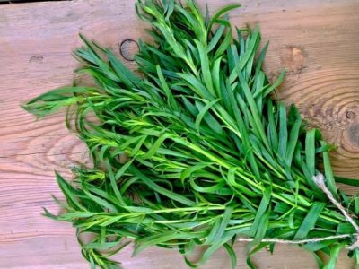 این سبزی قاتل فشار خون است
