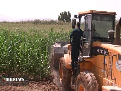 محصولات آبیاری شده با آب فاضلاب در شیراز معدوم شد