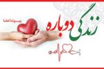 جوان لامردی نجات‌بخش زندگی چهار بیمار