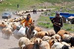 نیمه آبان آغاز کوچ عشایر فارش به قشلاق