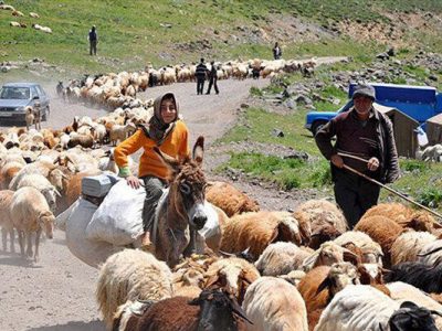 نیمه آبان آغاز کوچ عشایر فارش به قشلاق