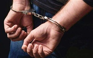 دستگیری سارق گردنبد قاپ در شیراز