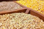 تامین نهاده های دامی برای عشایر فارس