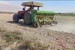 کاشت گیاه دارویی سیاه دانه برای اولین بار در قیروکارزین