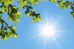 آسمان فارس صاف تا قسمتی ابری