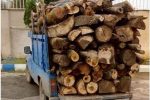 کشف بیش از ۱۲ تن چوب جنگلی قاچاق در کازرون