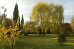 آسمان فارس ابری گاهی همراه با وزش باد