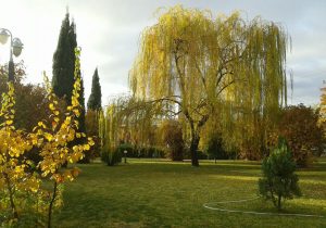 آسمان فارس ابری گاهی همراه با وزش باد