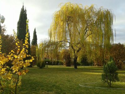 آسمان فارس ابری گاهی همراه با وزش باد