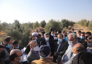 اختصاص دوهزار سهمیه اشتغال فرش دستباف به زرین دشت
