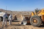 معدوم سازی 30 هزار قطعه طیور گوشتی  در لارستان