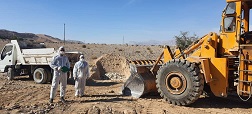 معدوم سازی 30 هزار قطعه طیور گوشتی  در لارستان