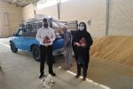 توزیع خوراک دام برای مقابله با خشکسالی در خنج