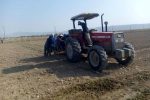 کاشت مکانیزه پیاز برای اولین بار در خنج