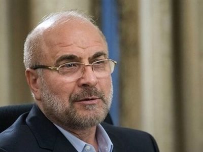 سفر رئیس مجلس به فارس لغو شد