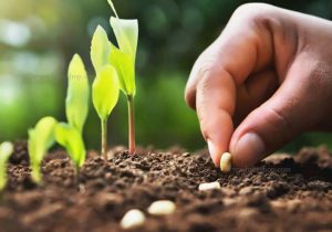 احیاء ۵ هکتار از اراضی ملی شهرستان کوار