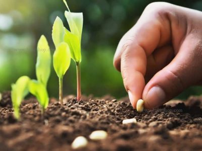 احیاء ۵ هکتار از اراضی ملی شهرستان کوار