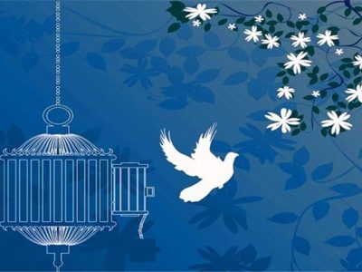 بخشش یک زندانی محکوم به قصاص در فارس