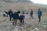 احیاء ۱۰ هکتار از مناطق جنگلی مرودشت