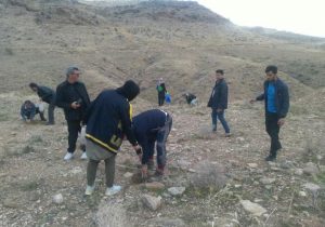 احیاء ۱۰ هکتار از مناطق جنگلی مرودشت