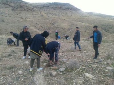 احیاء ۱۰ هکتار از مناطق جنگلی مرودشت