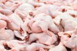 خرید تضمینی ۲۸۰ تُن مرغ در فارس