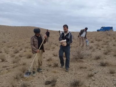 احیاء یک هزار و ۱۰۰ هکتار از مراتع شهرستان نی ریز