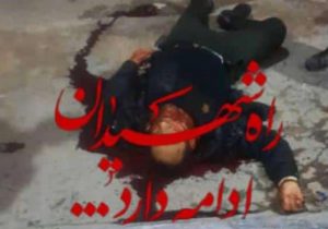 شهادت یکی از پرسنل نیرو‌انتظامی فارس در درگیری با اشرار