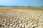 خسارت بیش از ۷ هزار میلیارد تومانی خشکسالی به فارس