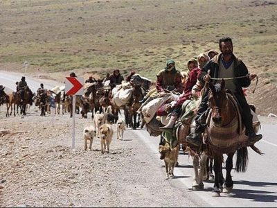 الزامی بودن کارت تردد دام هنگام کوچ عشایر