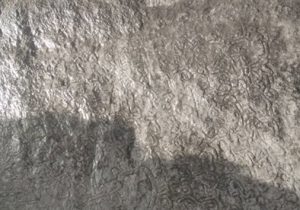 کشف یک کتیبه تاریخی در مرودشت
