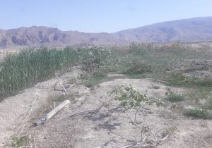 رفع تصرف اراضی پارک ملی و پناهگاه حیات وحش در بختگان