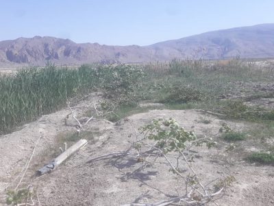 رفع تصرف اراضی پارک ملی و پناهگاه حیات وحش در بختگان