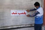 تعطیلی ۴ واحد عرضه لبنیات سنتی در ممسنی