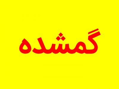 پیرمرد گمشده به آغوش خانواده بازگشت 