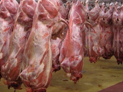 تولید بیش از ۳ هزار تن گوشت قرمز در فسا