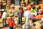 راه اندازی سامانه نظارت بر عرضه کالا‌های کشاورزی در فارس