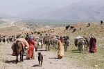 ۱۵ فروروین آغاز کوچ بهاره بزرگترین جامعه عشایری کشور
