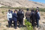 تولید نهال گواهی شده در ایستگاه تحقیقات کشاورزی داراب