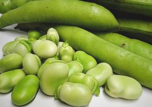 پرهیز از مصرف برخی مواد غذایی در مبتلایان به فاویسم