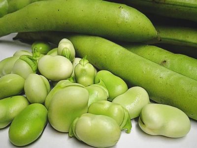پرهیز از مصرف برخی مواد غذایی در مبتلایان به فاویسم