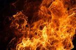 در آتش سوختن ۲۰۰ نفر نخل در لامرد