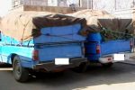 کشف ۲ تن گیاه دارویی قاچاق در استهبان