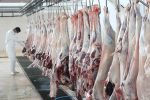 بازگشایی بزرگ‌ترین کشتارگاه صنعتی شمال فارس