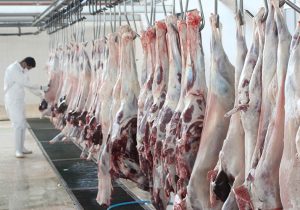 بازگشایی بزرگ‌ترین کشتارگاه صنعتی شمال فارس