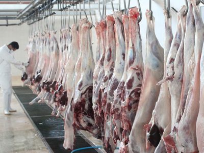 بازگشایی بزرگ‌ترین کشتارگاه صنعتی شمال فارس