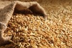 تصویب قیمت جدید خرید تضمینی جو